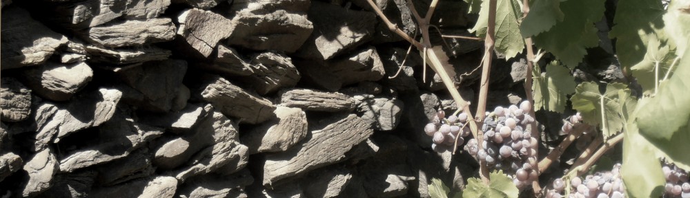 La feixa pedra seca   (artesania amb pedra seca)